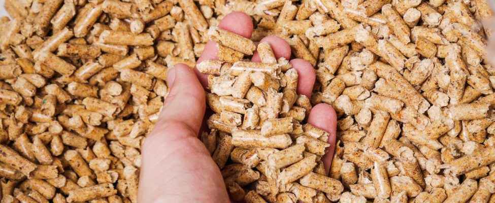 BM Certification đã đạt được công nhận cho  việc cấp Chứng nhận ENplus®